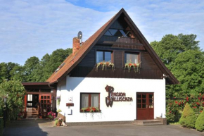 Гостиница Pension Willischza  Бург